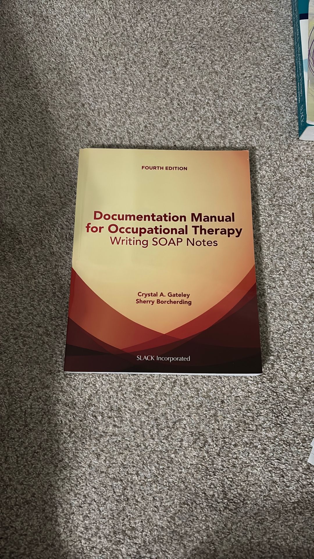 Documentation Manual For Occupational Therapy Writing Soap Notes