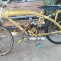 Custom bicycle