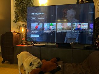 65” Samsung TV