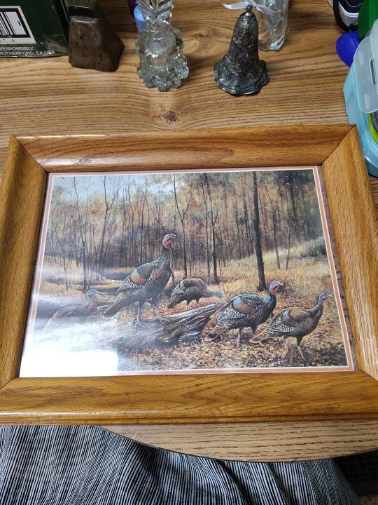 Family Photo, Portrait Of Turkeys Walking In The Woods On A Fall Day 