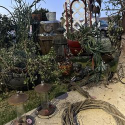 Garden Things, Succulents 
