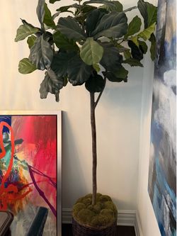 Fake tree plant for inside the house