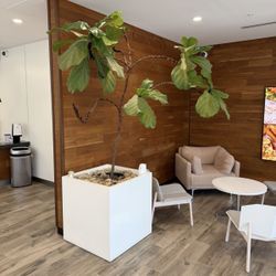 Jay Scott Vases (Planters) 