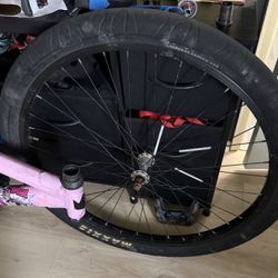 Throne goon Front rim