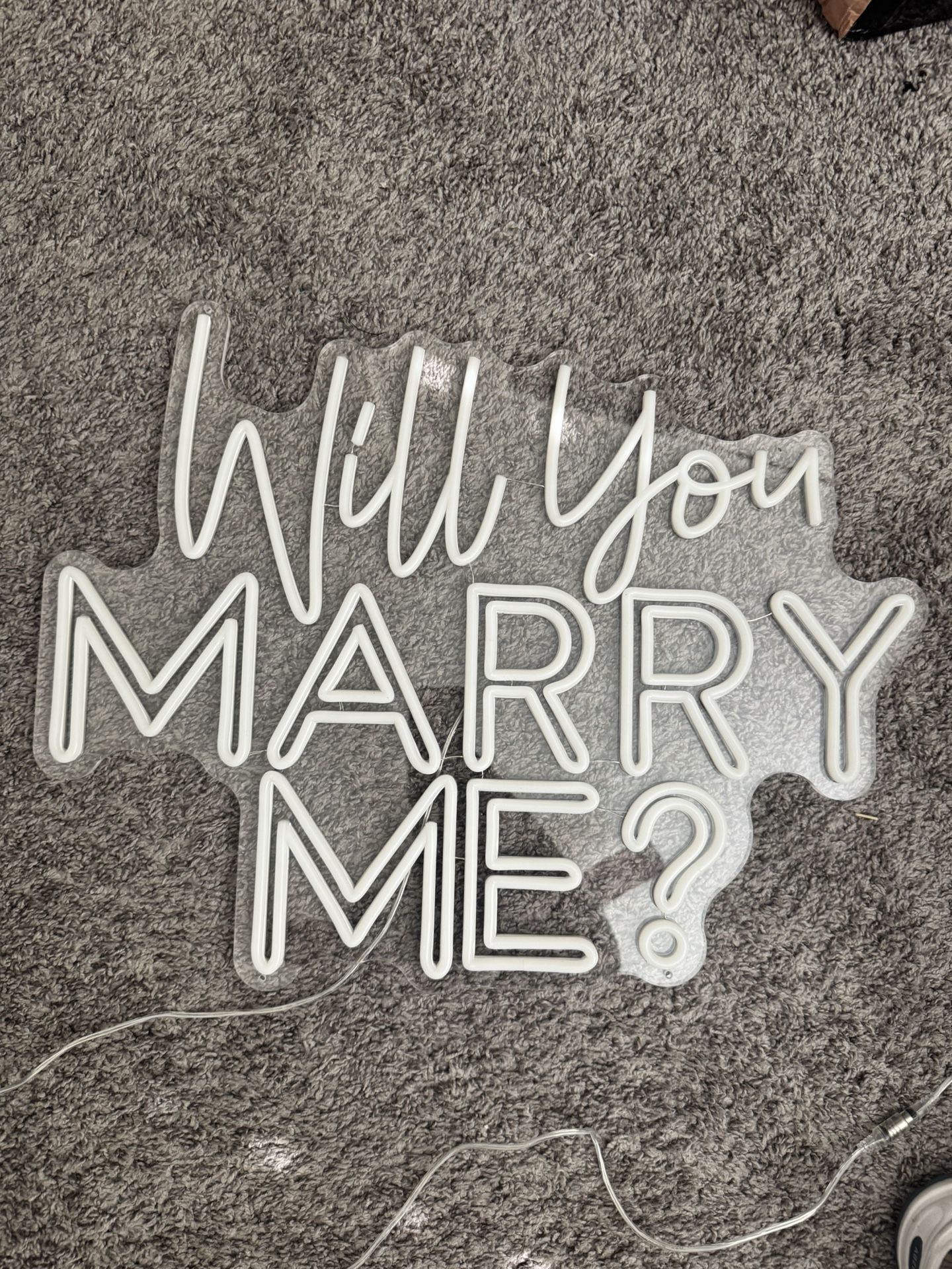 Will You Marry Me Neon Sign