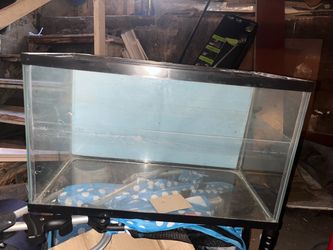 Fish tank