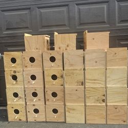 Nest Boxes 