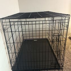 Large Dog Kennel