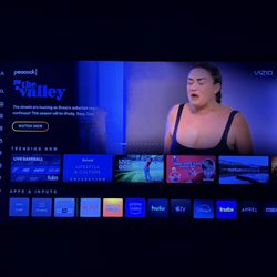 55 Inch Vizio With Remote And Walmount