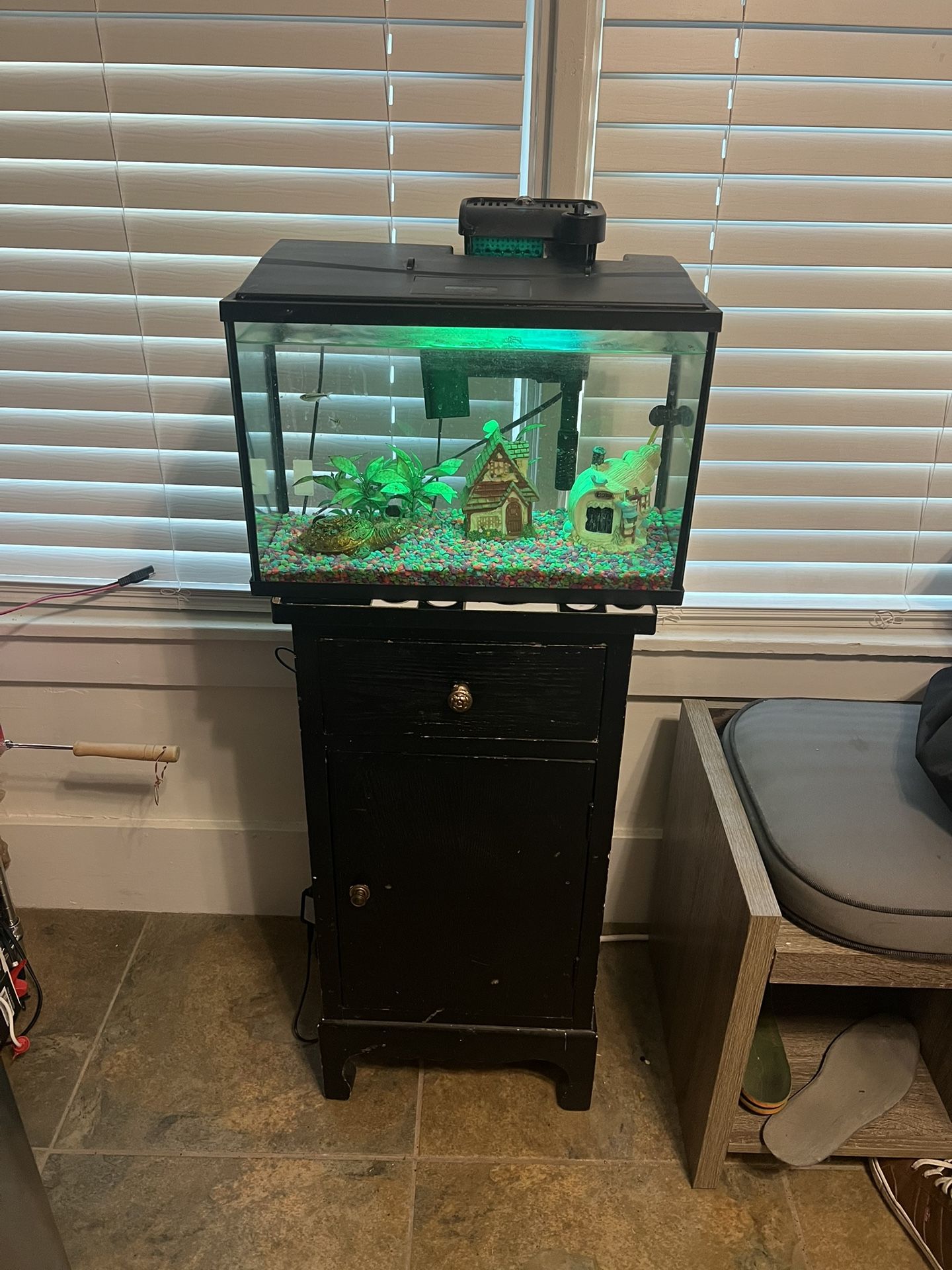 Established 5 gallon fish tank.