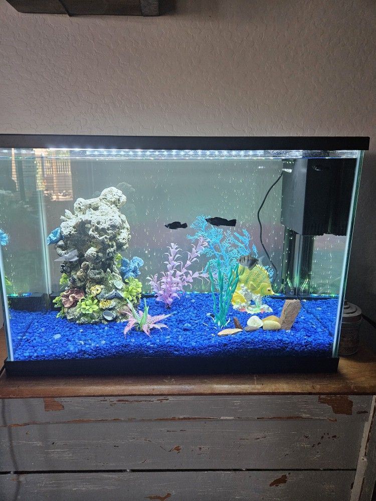 20 Gallon Aquarium With LED Lights, Decor, Gravel And Filters