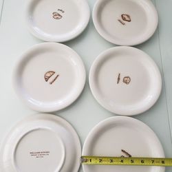 William Sonoma plates 8 inch