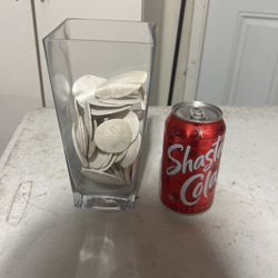 Glass Base With Sand Dollars 