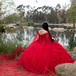 Quince Dress 
