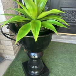 Beautiful Artificial Plant & Vase