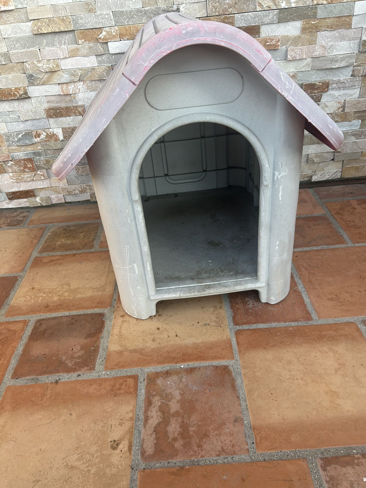 Dog House 