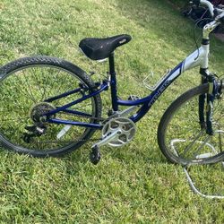 Trek 100