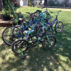 Bikes