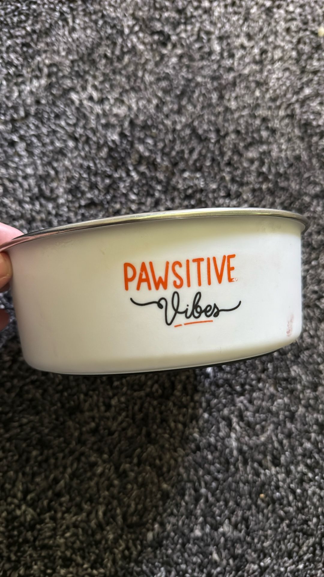 Dog Bowl