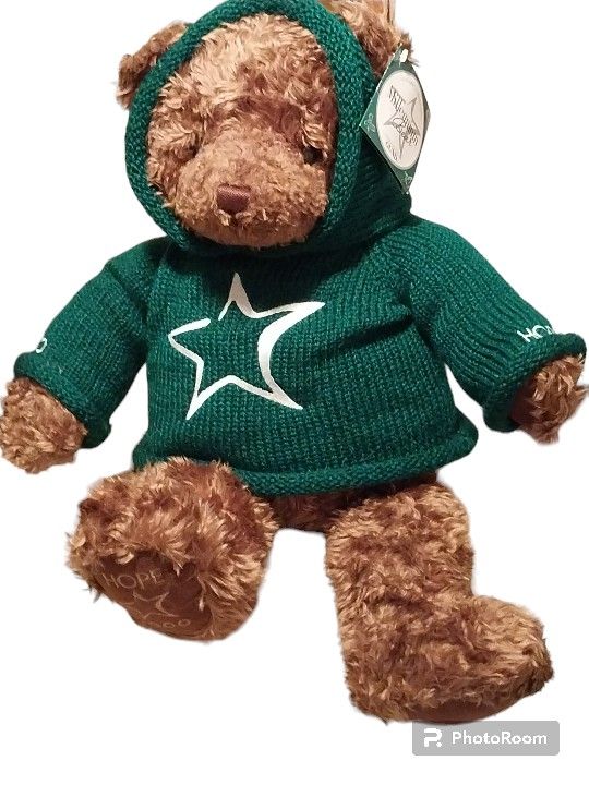 Millennium BEAR - 2000 - LIMITED EDITION