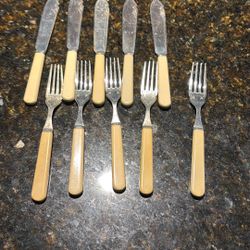 Bone Handle Silverware Vintage