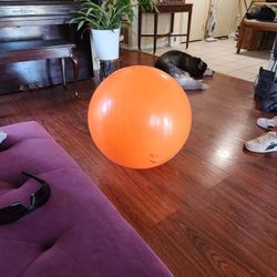 Exercise  Ball $15