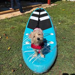 Paddle board, paddle-board new