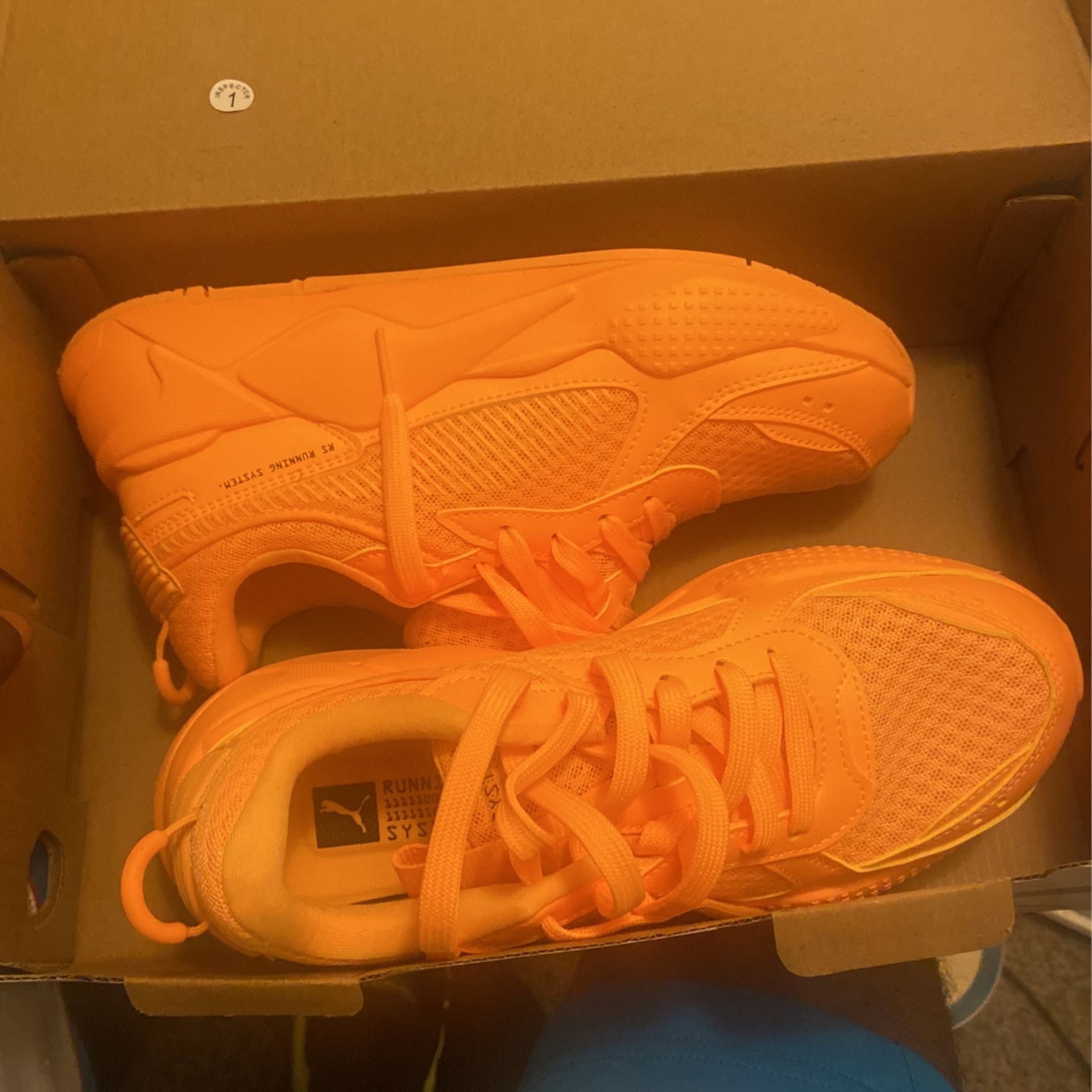 Pumas