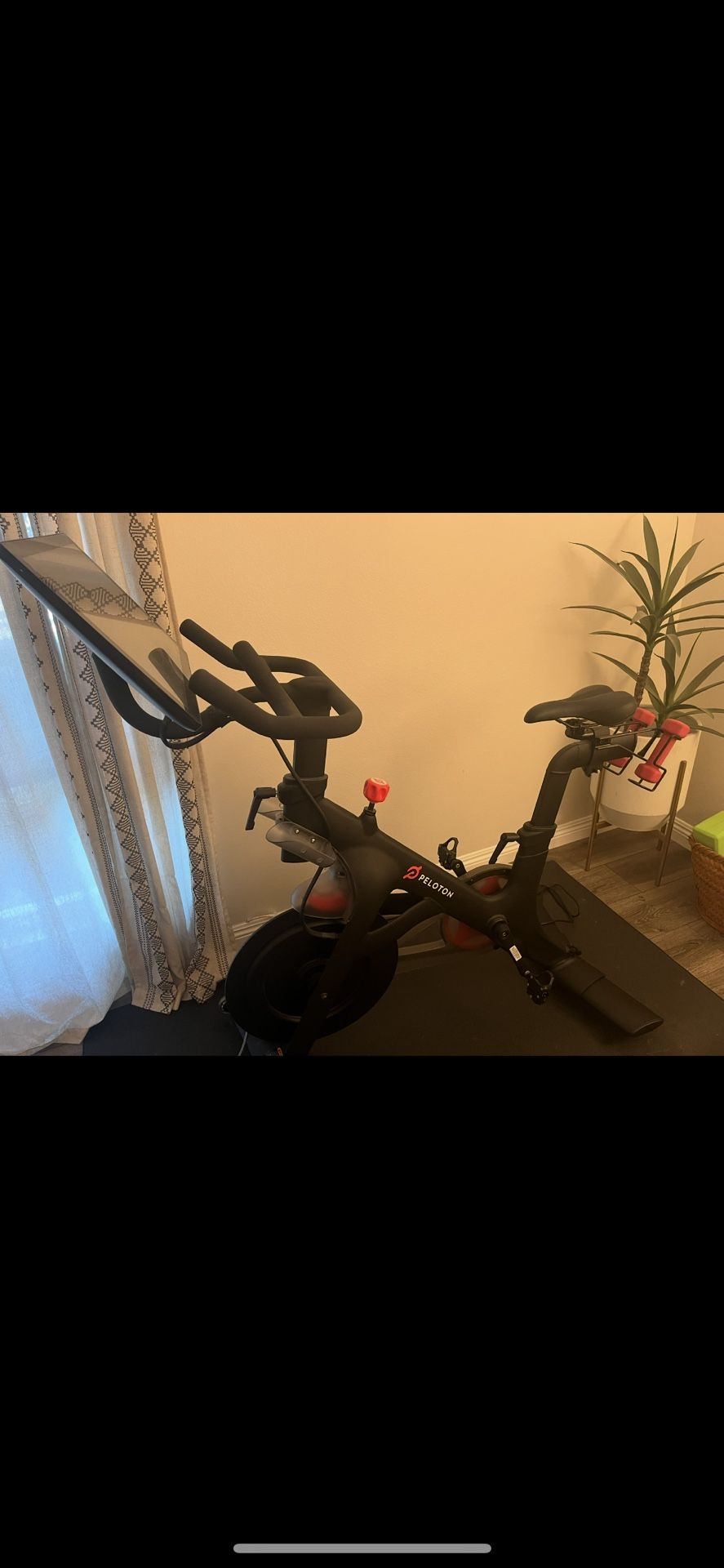 Peloton $250 OBO 