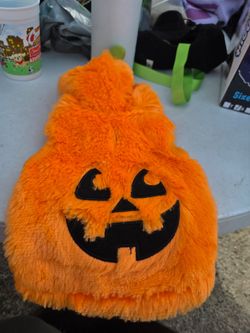 Halloween Pumpkin Pet Costume