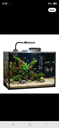 Fish tank