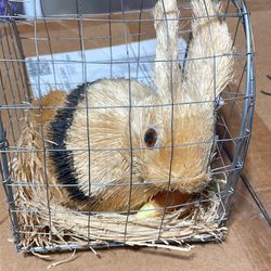 Bunny Decor / So Cute 