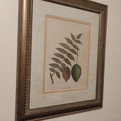 Medium FolagePortrait 