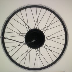 Isinwheel Motor Wheel 