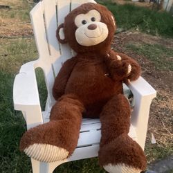 Stuffed Animal 