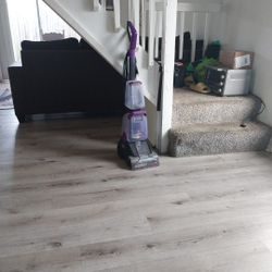 Bissell Carpet Cleaner 