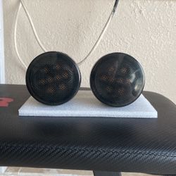 Signal Lights