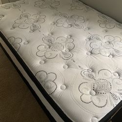 Full Size Mattress and Box Spring  