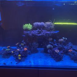 Waterbox 90.3 Aquarium 
