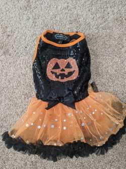 Small Dog Pumpkin Halloween Costume