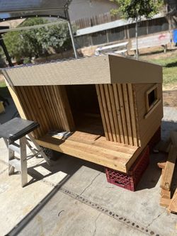 Modern Dog Home