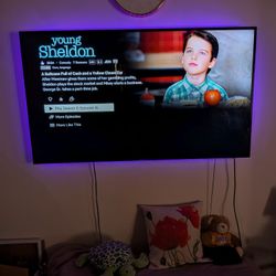 55,In Flat Screen TV 