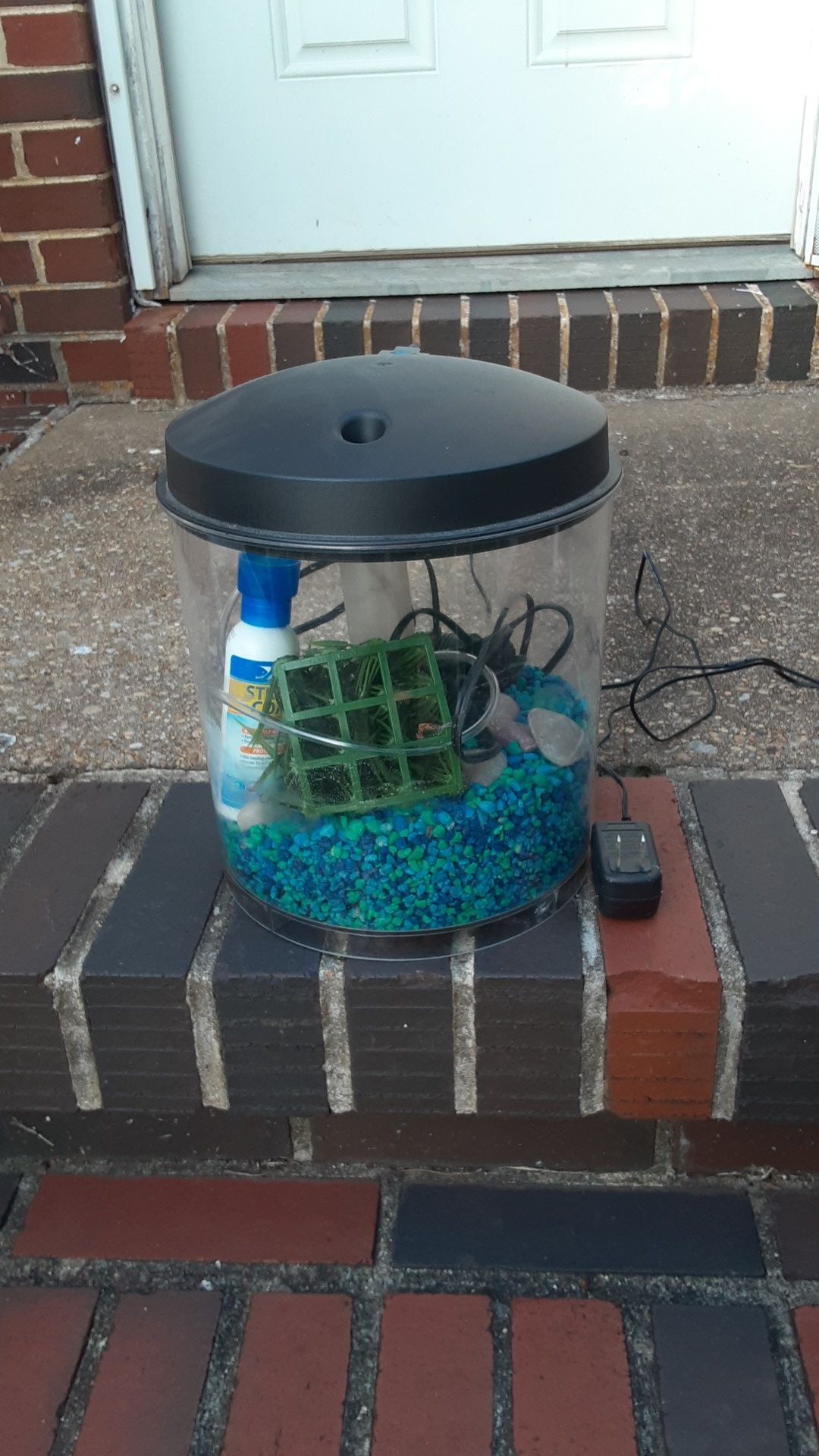Miniature aquarium