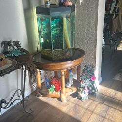 20 Gallon Hexagon Fish Tank With Everything Needed.