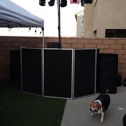 Dj