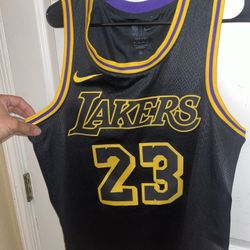 Lebron James Jersey 