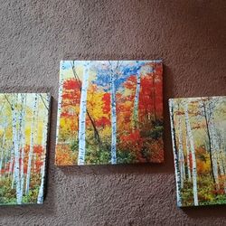 Canvas Paint Photograph By Adel H.