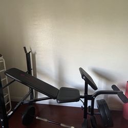 Workout bench and weights