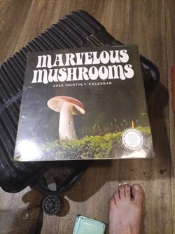 2025 Marvelous mushrooms calender