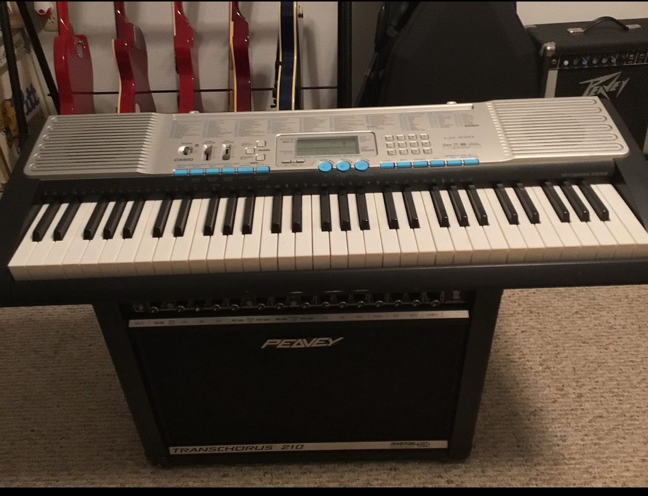 Casio LK-220 Keyboard - Please Read description